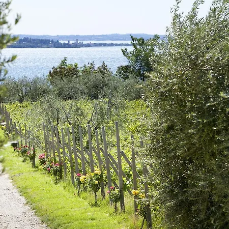 Agrigturismo Monte Cicogna ファームステイ