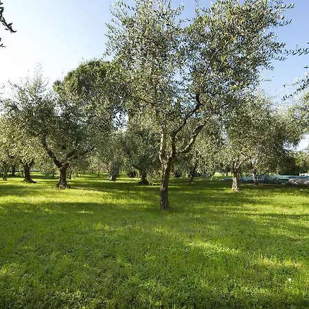 ファームステイ Agrigturismo Monte Cicogna